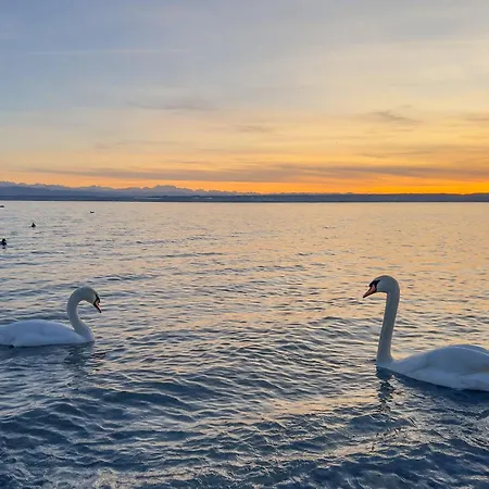 Bodensee Haeusle Horská chata *