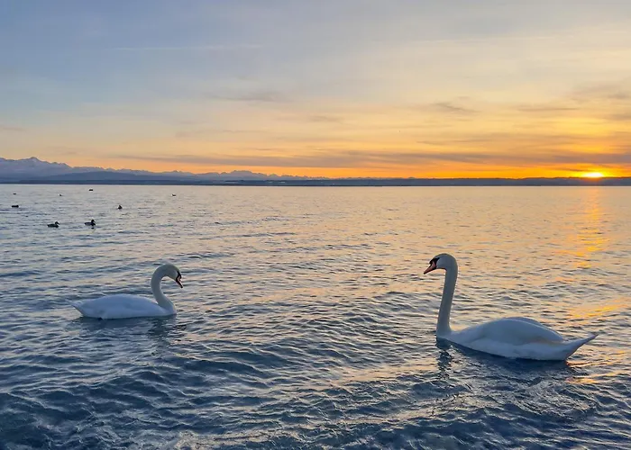 Bodensee Haeusle シャレー *